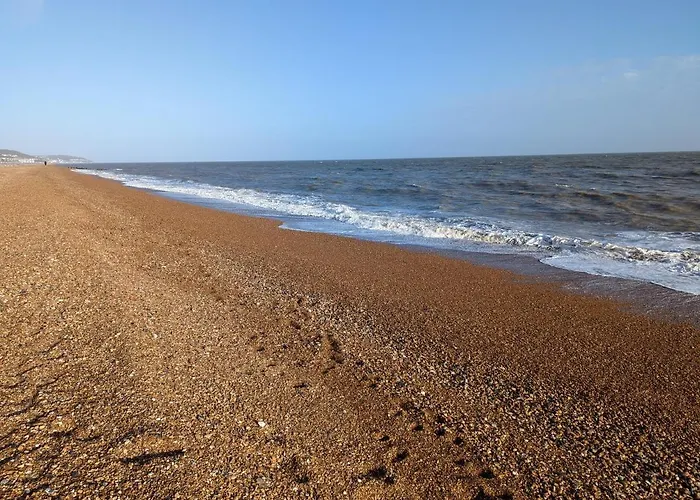 Seahorse House, Beautiful Large House Next To The Beach & Park & Near Zoo, Hythe